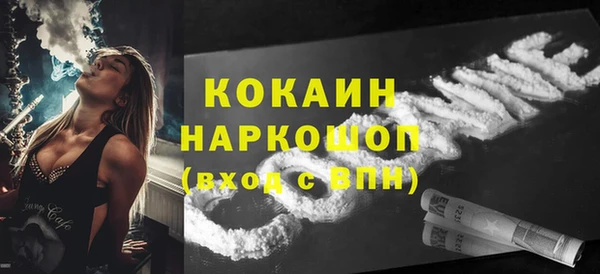 сатива Корсаков