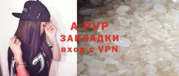 сатива Корсаков