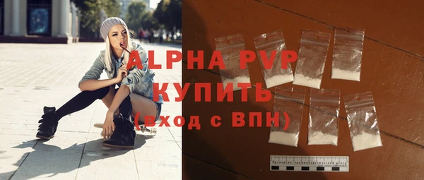 сатива Корсаков