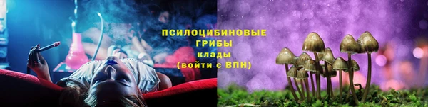 сатива Корсаков