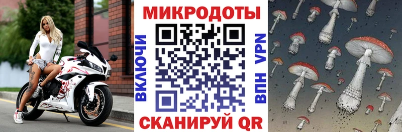 Купить Полтавская Псилоцибиновые грибы мицелий
