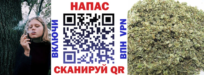Канабис план  Купить закладки  Полтавская 